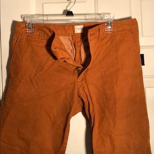 Lands End Men’s burnt orange pant 31/30